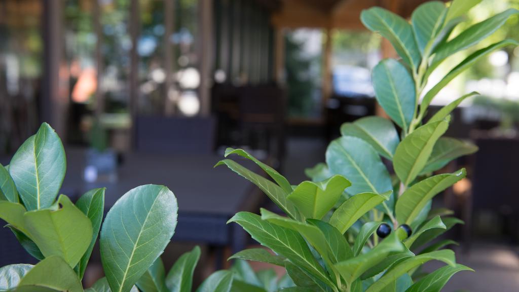 Hotel Badhof Альтштеттен Номер фото